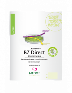LACTOENOS B7 Direct