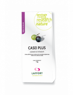 CASEI PLUS