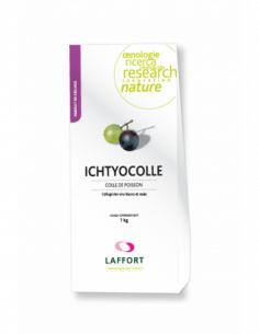 ICHTYOCOLLE