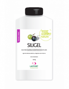 SILIGEL